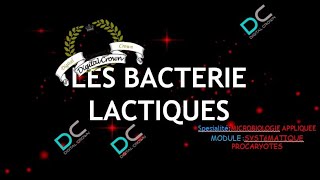 les bacteries lactiques [upl. by Ydissac667]