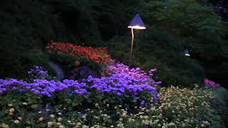 Butchart Gardens Virtual Tour [upl. by Yesima]