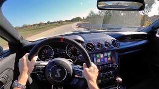 2020 Ford Mustang Shelby GT350R  POV Driving Impressions [upl. by Wilsey19]