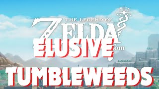 Side Quest Complete Elusive Tumbleweeds  The Legend of Zelda Echoes of Wisdom 2024 [upl. by Liddie]