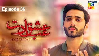 Ishq Ibadat  Episode 36   Wahaj Ali  Anum Fayyaz  Pakistani Dramas  HUM TV [upl. by Eoj]