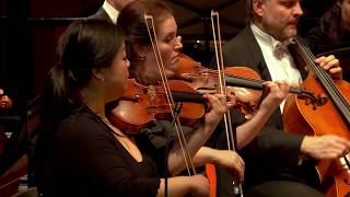 Haydn Symphony no 45 Farewell Symphony  Sinfonia Rotterdam Conrad van Alphen [upl. by Washburn]