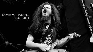 Dimebag Darrell · Floods · Isolated Solo Tracks [upl. by Fusco]