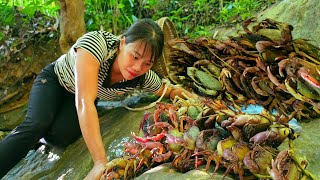 Catch wild crabs go to the market to sell and build a farm  Chuc Thi Hong [upl. by Erusaert]