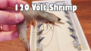 Cooking Shrimp With Retro 120 Volt Hot Dogger NSE [upl. by Airtemed]