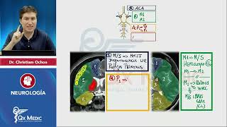 NEUROLOGÍA Esquemas de repaso Qx Medic 2023 [upl. by Peoples]