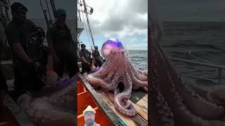 Giant sea monster caught fishmanhunteruzbekistanfactsforyoushortsgaming [upl. by Leamhsi]