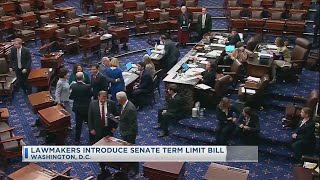 Lawmakers Introduce Senate Term Limit Bill [upl. by Anna-Diana]