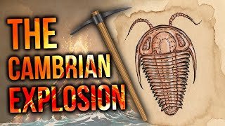 The Cambrian Explosion  David Rives [upl. by Tombaugh360]