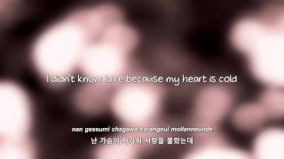 FT Island 사랑사랑사랑 Love Love Love lyrics Eng  Rom  Han [upl. by Aihsoek850]