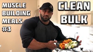 MUSCLE BUILDING MEALS 3  672 Cal Clean Bulking Meal [upl. by Adnomar366]