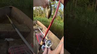 POND HOPPING IN A CANOE FARM POND FISHING LARGEMOUTH BASS FISHINGfishingshortsytshortsfypyt [upl. by Anoo91]