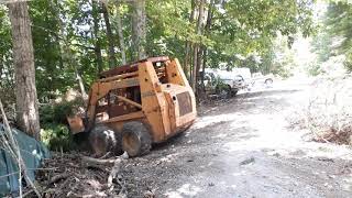 Case 1845c skid steer pushing trees into a brush pile [upl. by Raphaela121]