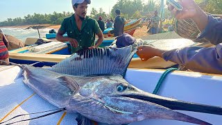 Wow fishermans Rural idyllic Village Most Satisfying Super Streets Fish markets in sri lanka [upl. by Ovida62]