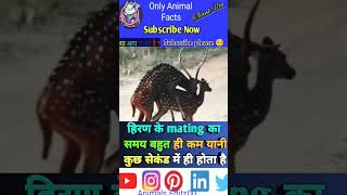 Deer 🦌 के बारे में रोचक तथ्य facts animals trending ytshort leapard explore shorts [upl. by Otrebron705]