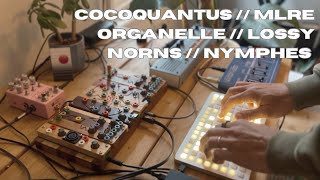 Cocoquantus  MLRe  Lossy  Organelle  Nymphes [upl. by Pulcheria]