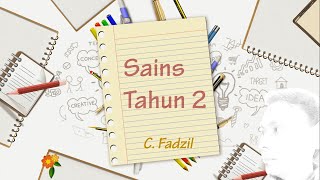 Sains Tahun 2  Unit 5 Tumbuhan  Kepentingan Tumbuhan [upl. by Yggep74]