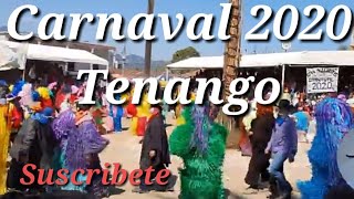 Carnaval 2020 Tenango De Doria Hidalgo [upl. by Aihcats]