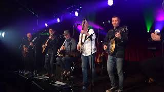 Belfast Mill by Green Road Live at The Spiegeltent Festival wexford 🎵🍀👍 [upl. by Krause]