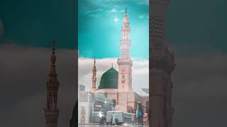 Chaman Chaman Ki Dilkashi  Nabi Nabi  Qari Rizwan Khan Beautiful Naat  Naat Collections [upl. by Ennaehr894]