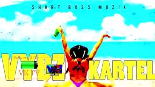 Vybz Kartel  Bad Gyal Gyal Audio [upl. by Zsa Zsa171]