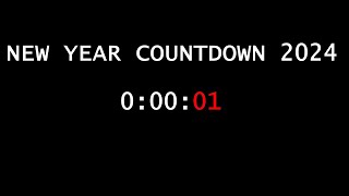 New Year Countdown 2024 NEXT UP BAKER ISLANDHOWLAND ISLAND LAST TIMEZONE [upl. by Etheline]