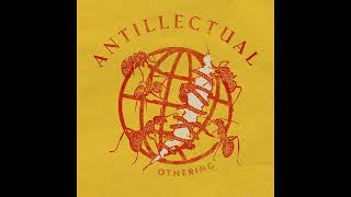 Antillectual  Othering [upl. by Bulley]