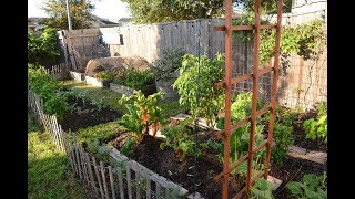 First Garden on a Budget Kristen and Phillip Knight  Central Texas Gardener [upl. by Lawtun]