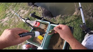 PECANJE AMURA  Method Feeder  fishing grass carp [upl. by Nnyladnarb744]