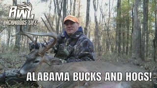 Alabama Deer and Hog Hunting At Its Finest 612 [upl. by Rehpretsirhc397]