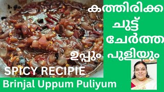 കത്തിരിക്ക ചുട്ട് ചേർത്ത് ഉപ്പും പുളിയും കറി Brinjal Uppum Puliyumസൂപ്പർ ടേസ്റ്റ് ആണ് [upl. by Restivo]