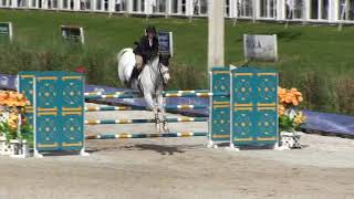 Video of Contessina Della Caccia ridden by Samantha Schaefer from ShowNet [upl. by Couchman]