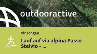 TrailrunningStrecke im Vinschgau Lauf auf via alpina Passo Stelvio  Stilfserjoch [upl. by Nica]