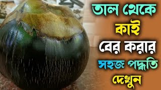 তাল থেকে কাই বের করার সহজ পদ্ধতি দেখুন [upl. by Mina]