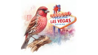 REPLAY Vegas Wild Bird Cam Live Stream  11112024 [upl. by Skolnik]