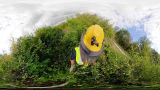 Travaux sylvicoles découvertes des métiers en 360° [upl. by Nnairam471]