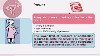 Normal labour  Obstetrics basics of labour and first stage  TBSTB [upl. by Venn]