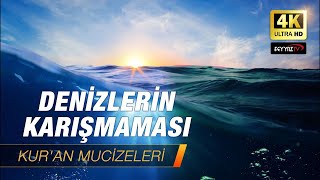 Denizlerin Karışmaması Kuran Mucizeleri 4K [upl. by Davin24]