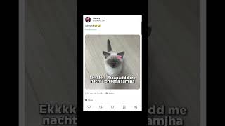 Twitter funny memes 🤣😂😂 funnymemes funnyvideo [upl. by Nixie869]