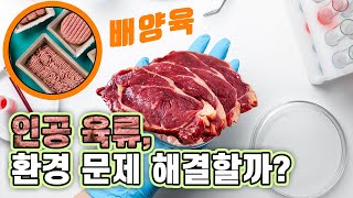 인공 육류 배양육 과연 미래의 먹거리일까 사이언스포럼  YTN 사이언스 [upl. by Halland]