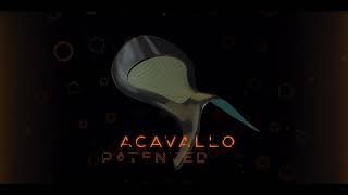 Acavallo Kevlar Carbon Saddle Tree [upl. by Neffirg102]