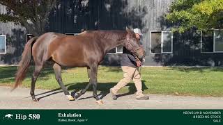 Hip 580  Exhalation  Broodmare by Street Sense IF to Forte [upl. by Newra]