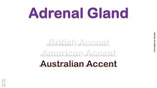 Adrenal Gland How to Pronounce Adrenal Gland in Australian British American Accent [upl. by Scherman]