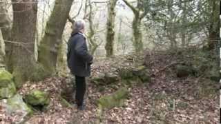 Richplanet TV  March 2014 Show  Hidden Welsh Archaeology [upl. by Dlonyer]