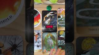 🏮LIGHT AT THE END OF THE TUNNEL🏮 tarot tarotreading channelledmessage oraclereading [upl. by Kale347]