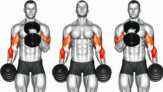 Biceps Workout 6 Best Exercises to build Strong Bicep [upl. by Kalikow737]