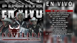 Novillos de la Sierra  En Vivo Vol4  2021 DISCO COMPLETO [upl. by Arayk]