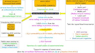 OsmoreceptorADH Feedback System Chapter 29 part 6 Guyton and Hall Physiology [upl. by Vassar]