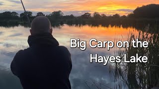 Bank Holiday PB Carp  Merrington Carp Fishery  Hayes Lake [upl. by Aramit665]