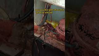 Kelvinator फ्रिज कूलिंग नहीं कर रहा है  how to kelvinator fridge note cooling  how repair fridge [upl. by Fedak753]